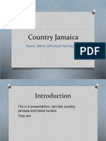 Country Jamaica: Name: Wenu Calfueque Hormazabal