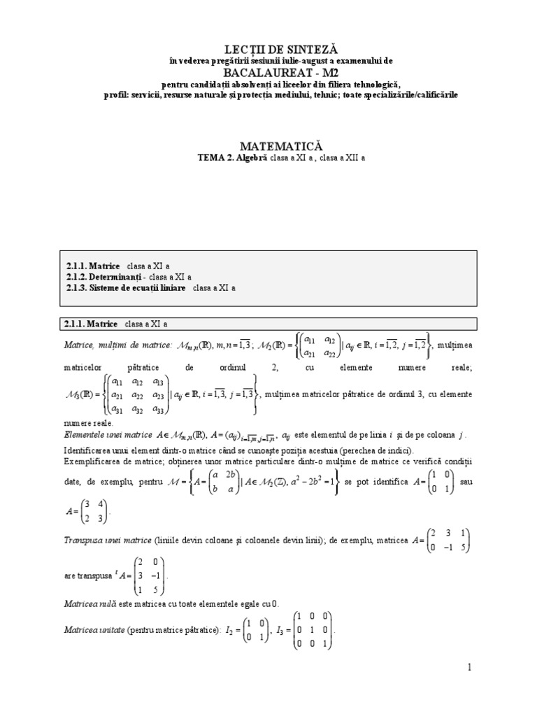 Pantofi De ToamnÄ Cel Mai Iubit PreÈ ScÄzut Determinanti Cu Inele Moto Yamaha Ro