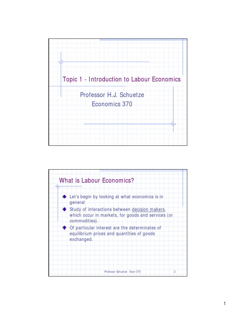 Introduction to Labour Economics | PDF | Labour Economics | Economics