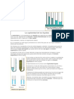 La Capilaridad de Los Liquidos