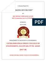 DPZ Certificate