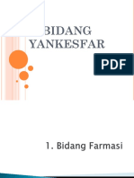 Bidang Yankesfar