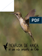 Picaflor.pdf