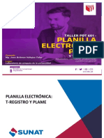 Taller Plame y T Registro