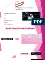 Principios de Bioseguridad PDF