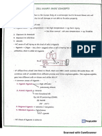 Pathology Prepladder CL