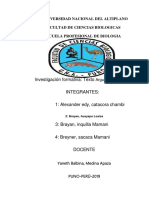 Argumentos y estructura de textos argumentativos