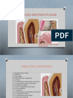 Complejo Dentino-Pulpar