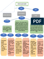 Organizador Grafico