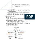 Ossa Ekstremitas Caudalis (Pelvinae) Dan Ossa Ekstremitas Cranialis (Thorakalis)