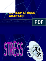 Stress Dan Adaptif