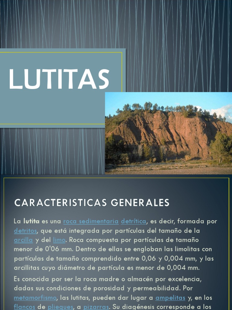 Características de las Lutitas Sedimentarias PDF