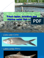 Fresh Water, Brackish and Marine Water Fish Culture