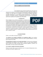 Aditivos Alimenticios y Anabólicos en Bovinos