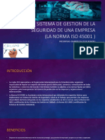 Sistema de Gestion de La Seguridad de Una Empresa