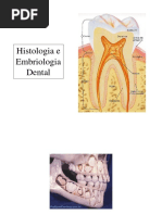 Histologia e Embriologia Dental