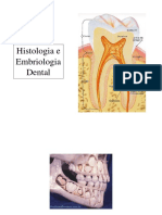 Histologia e Embriologia Dental
