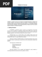 Promodel: An Overview: Modeling Orientation