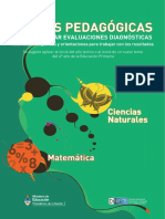 PRUEBAS DIAGNOSTICAS.pdf