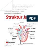 Anatomi Fisiologi Jantung by Natasya