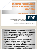 Anatomi Fisiologi Organ Reproduksi Wanita