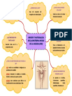 Origen Y Naturaleza de La Doctrina Social de La Iglesia (Dsi)