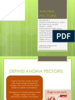 Angina Pectoris Ppt-1
