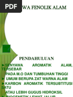 [KBA BU HANUM] Senyawa Fenolik Alam