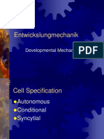 Entwickslungmechanik: Developmental Mechanisms