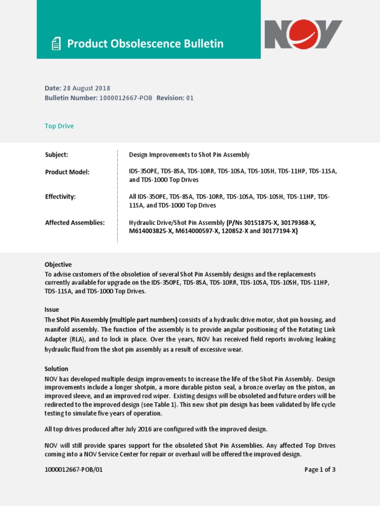 1000012667-PIB Shot Pin | PDF | Business