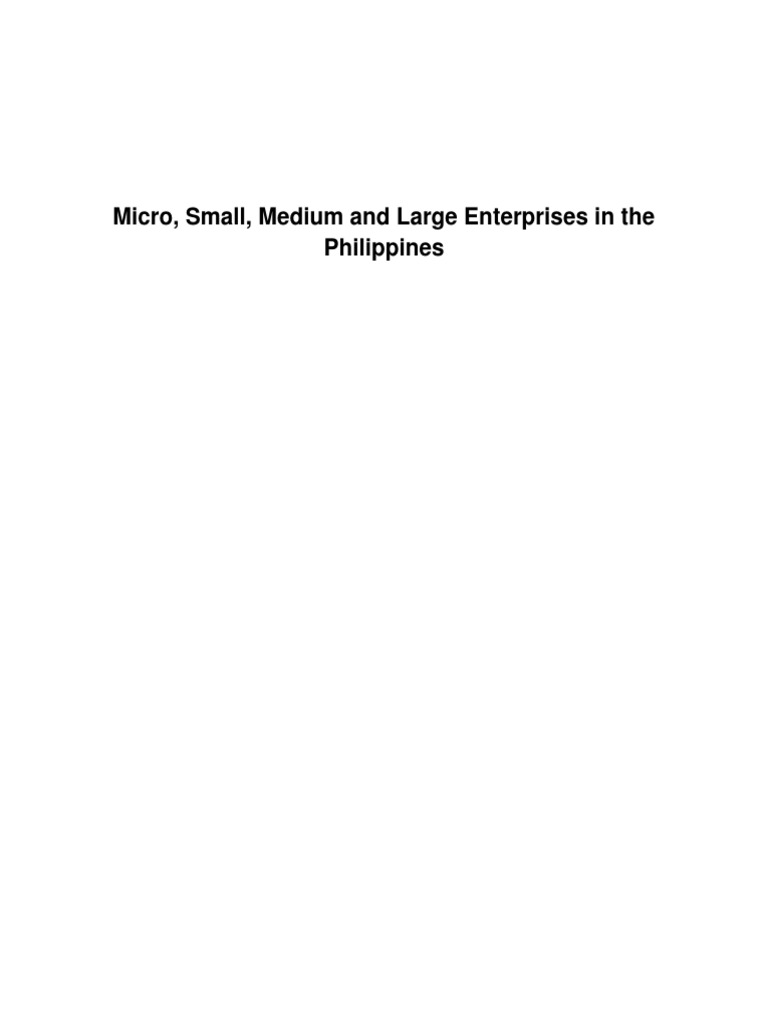 Micro, Small, Medium and Large Enterprises in The Philippines | PDF ...