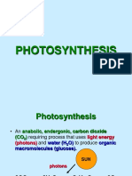 Photosynthesis.ppt