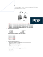 Soal Ukk Bio Xi M