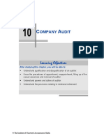 Company Audit.pdf