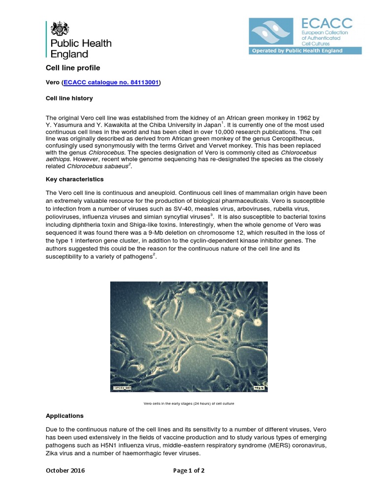 Cell Line Profile ECACC Catalogue No. 84113001 PDF Cell Culture