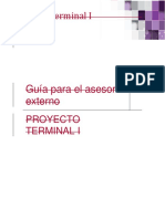 Asesor Externo Proyecto Terminal I