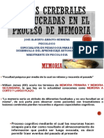 Areas Cerebrales Involucradas en El Proceso de Memoria