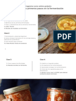 Curso Fermentación Online