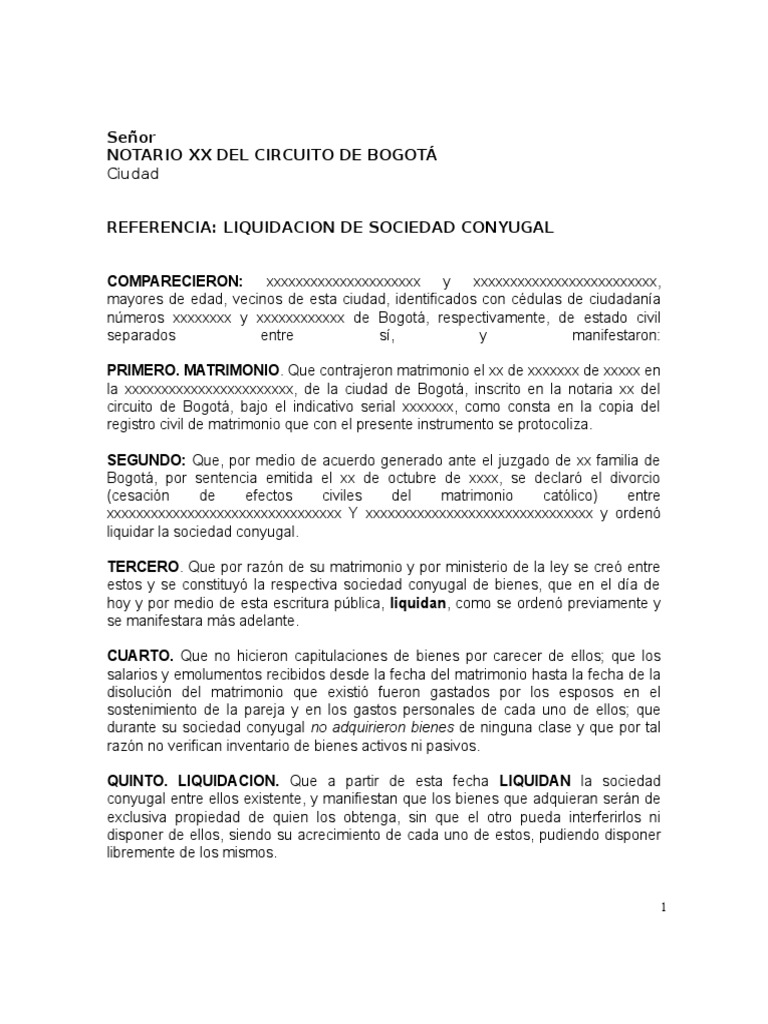 Modelo Liquidacion Soc Conyugal en Ceros | PDF | Propiedad de la comunidad  | Matrimonio