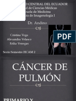 Ca Pulmon