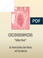Cocci X11 PDF