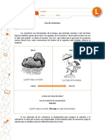 conectores 5-6to.pdf