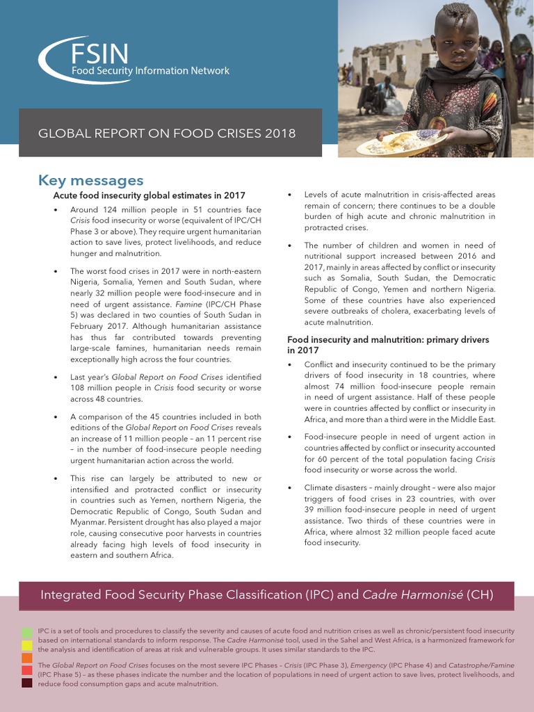 2018 Global Food Insecurity Report | PDF | Famine | Food Security