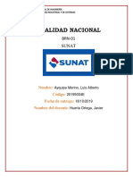 Sunat - Conclusiones