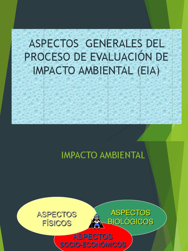 Evaluación de Impacto Ambiental EIA | PDF | Evaluación de impacto ...