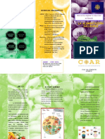 Triptico PDF