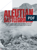 Aleutian Battleground 