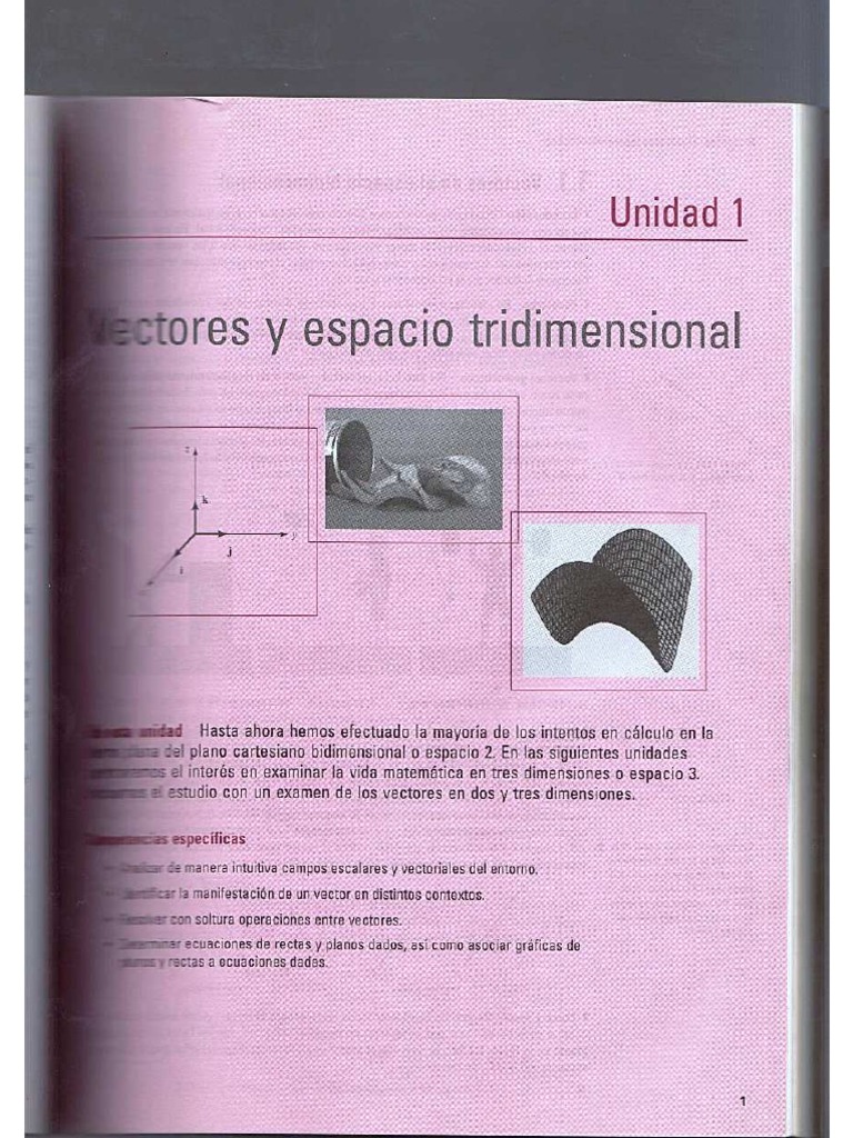 Dennis G Zill Solucionario Calculo Vectorial PDF | PDF
