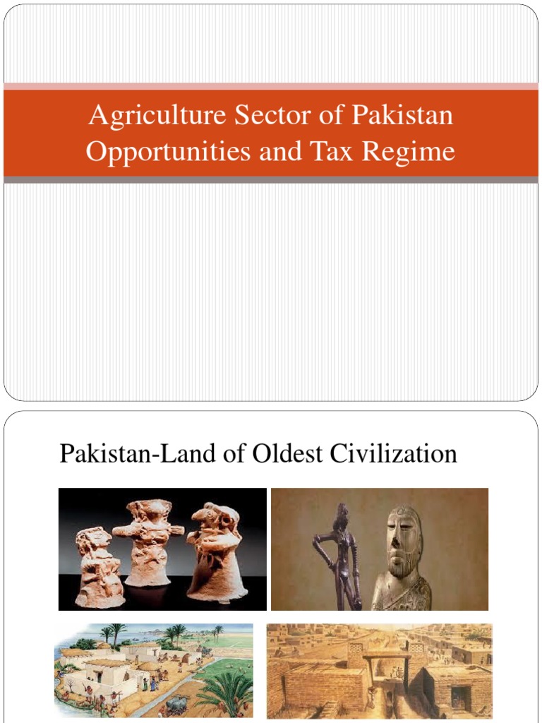 Agriculture Sector of Pakistan Final FFF | PDF | Agriculture | Gross ...