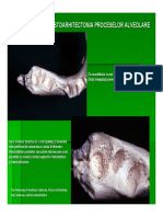 Imagini Parodontiu Final PDF